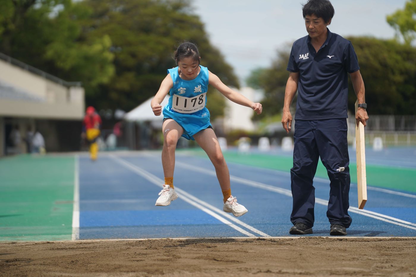 写真: