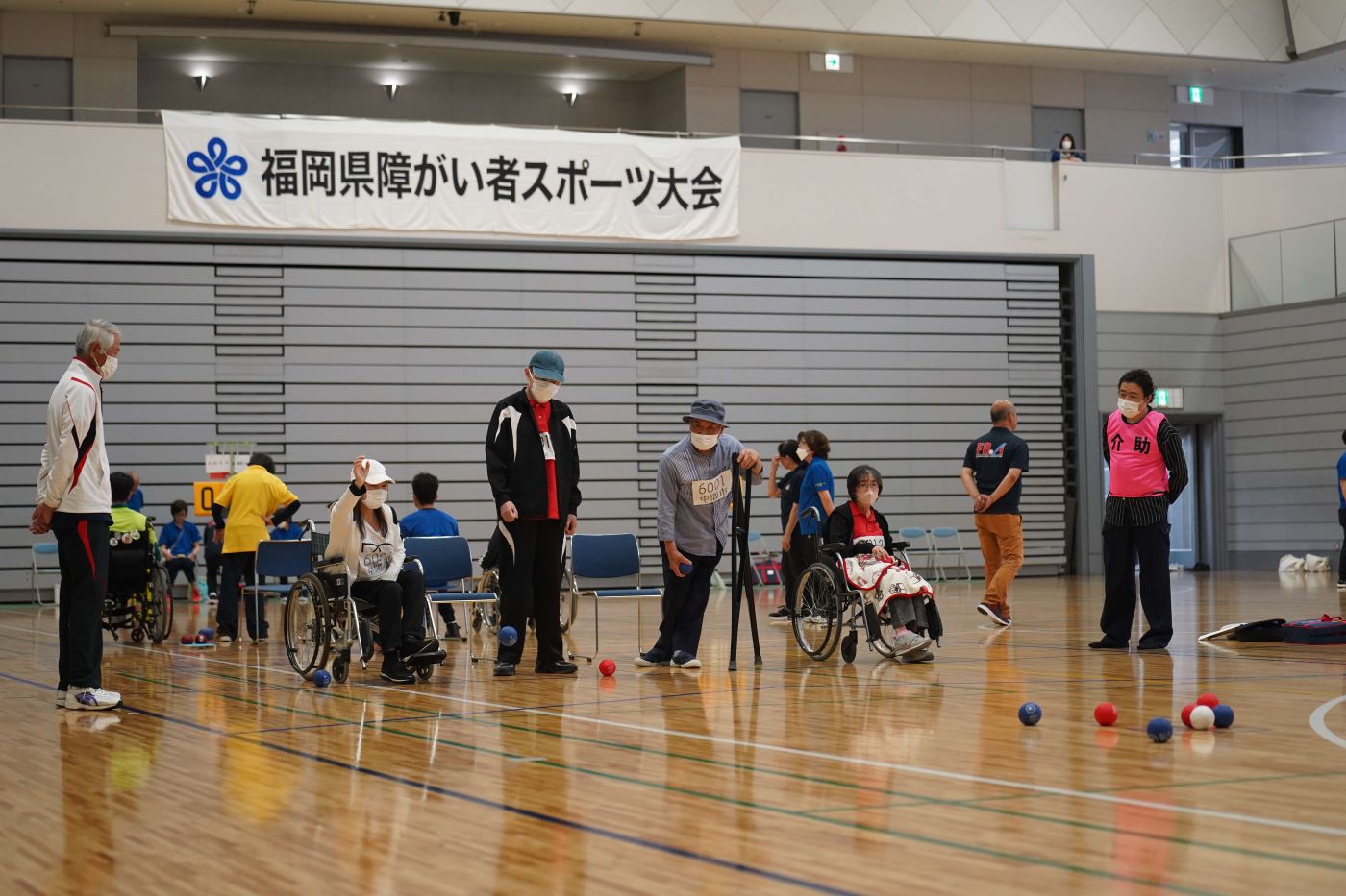 写真: